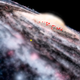 Image for article titled Astronomers Have Discovered a Previously Unknown Feature of the Milky Way